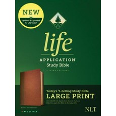 (英文圖書)NLT Life Application Study Bible Third Edition Large Print (Red Letter... Imitation Leather, Tyndale House Publishers, 英文, 仿皮