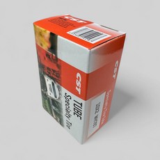 CST 10인치 WH767 유모차 전동킥보드 튜브 (슈레더), 1개