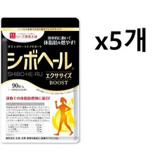 시보헤일 BOOST 90알 L-카르니틴 430mg 코엔자임 Q10 a리포산 L-아르기닌 x5개