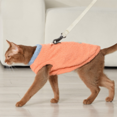 고양이 구름솜 베스트 겨울가을 따뜻한 복식, 1개, 주황색