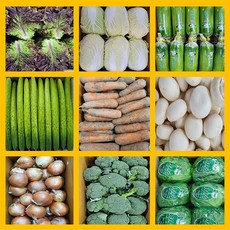 야채왕 간편장보기 소포장야채 감자 양파 당근 상추 버섯 로메인 오이외 30종, 만가닥 버섯 1팩, 1박스