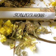 藥魂 SOULOFHERB 薰香粉 招財豐盛香粉, 1個, 10G-贈隨身分裝小玻璃瓶