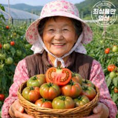 단짠단짠 대저토마토 고당도 짭짤이 토마토, 1개, 5kg