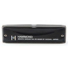 Other Harmonica 블랙 HAMMOND HA 20 G 227257