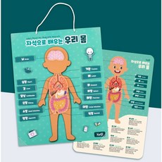 캐스비 튼튼 인체자석 퍼즐, 1개, 84피스