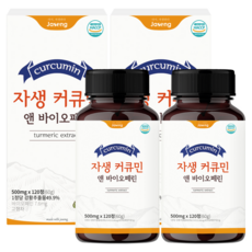자생 커큐민 앤 바이오페린, 2개, 120정