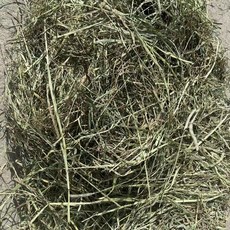 提摩西一割牧草飼料，高纖維，助消化，寵物適用，1公斤, 1個