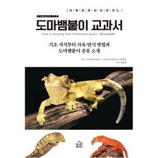 도마뱀붙이 교과서 / 니시자와 마사시 / 헤르몬하우스