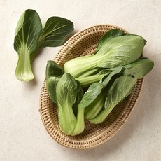 우리가락 청경채 1kg, 없음, 상세설명 참조