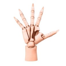 MANXANART 1/1 人手模型 繪畫美術參考, 膚色,右手（配萬向支架和替換指甲）