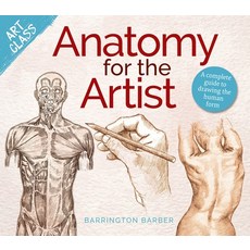 (영문도서) Art Class: Anatomy for the Artist: A Complete Guide to Drawing the Human Form Paperback, Sirius Entertainment, English, 9781398849006