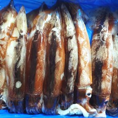 [S급원물] 냉동 오징어 손질 실중량, 130g x 14미, 1개