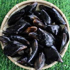 국내산 제철 홍합 섭 담치 2kg 산소포장, 2개