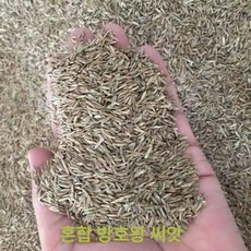 토낭 녹화 마대 토사방지 조경 사면 경사면 유출 방지, 혼합 경사 보호왕 전용 잔디씨 500g, 1L, 1개