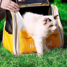 고양이 메쉬 옐로우 이동가방 반려동물 산책용 캐리어