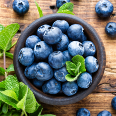 국내산 생 블루베리 특품, 1개, 특대과 (18mm이상) 2팩