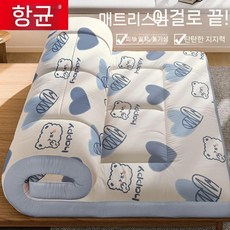 매트 가정용 다다미 차박매트리스 매트리스 ㅊ 다용도 보관 용이 침대메트리스