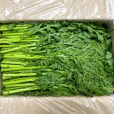 농진사 쑥갓 국내산 특품, 1개, 4kg