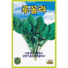 산들마켓 루꼴라 씨앗 3000립 수량 많고 부드럽고 단맛이 좋은 로켓샐러드 고급 품종 종자, 1개