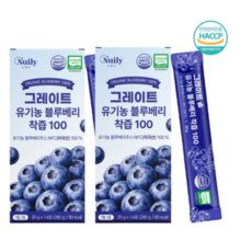 그레이트 유기농 블루베리 착즙 100% NFC 원액 베타카로틴 안토시아닌 비타민, 2박스, 20g