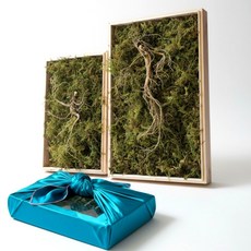 정품 산양삼 10년근 무료선물포장 만항재산삼, 6g, 5개