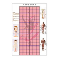체형 측정 롤스크린 분석판 블라인드 분석 모눈종이 스티커 필라테스