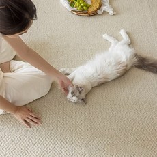 미스터댕댕 스크래쳐 고양이 논슬립 카페트 특대형 화장실 매트, 아이보리, 1개