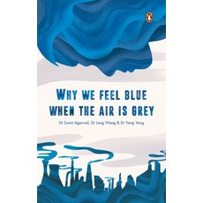 (영문도서) Why We Feel Blue When the Air Is Grey Paperback, Penguin Books, English, 9789815017861