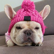 강아지 모자 겨울용 니트 방풍 귀도리 골지비니 뜨개, 1개, 핑크 퍼플