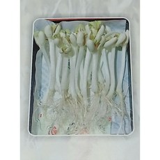 한방새싹땅콩, 1개