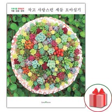 작고 사랑스런 세둠 모아심기
