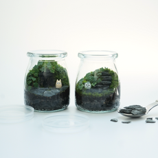 테라리움 키트 만들기 DIY 비단이끼 키우기 푸딩테라리움II, 1개