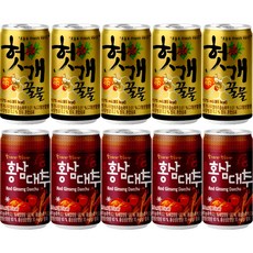 겨울 캔음료 2종 각 5개씩(헛개꿀물+홍삼대추), 10개, 175ml