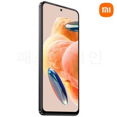 샤오미 레드미 노트 12 프로 2209116AG, 그레이, 256GB