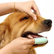 강아지 손가락칫솔 애견 치석제거 빗질겸용 양지장갑, 1개