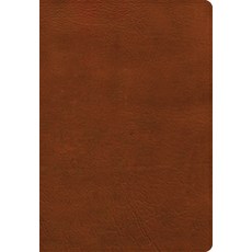 (영문도서) NASB Super Giant Print Reference Bible Burnt Sienna Leathertouch Imitation Leather, Holman Bibles, English, 9781087756301