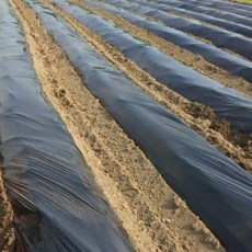 흑색 멀칭용 하이덴필름 0.012mmX90cmX457m UC, 1개