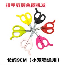 햄스터 고양이 토끼 손톱 깎기 동물 손톱깎이 다람쥐 기니피그 꽃가지 소형 애완동물 미용 가위 용품, 경제 [A] 색상 임의의 머리, 1개