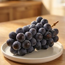 <품담>산지직송 달콤한 즐거움 하우스 캠벨포도, 1박스, 하우스 캠벨 1kg