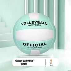 5号排球 学生 专用训练 排球比赛 专用球 软式排球 排球 排球訓練 排球 運動健身 青少年運動, 1個, 訓練專用馬卡龍天空藍+打氣筒+球針+網兜