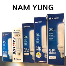 삼파장램프 삼파장전구 CD램프(남영전구) 45w 55w 75w 100w, 45w(E39), 1개