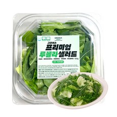 그린어스 무농약 친환경 유러피안 프리미엄 루꼴라 샐러드 간편 트레이, 100g, 5개
