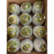 안안 생 코코넛, 1개, 1.3kg 내외