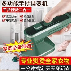 多功能掛燙機 平燙掛燙二合一 乾濕兩用 專業熨燙, 綠色, 手持熨斗