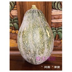 K17 阿壽木瓜型南瓜種子 生長勢強 抗多種南瓜毒素病, 1包