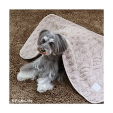 貝果貝果 日本 Pet Paradise 法蘭格緹花舒適空調毯, 1個, 緹花紋