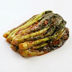 신대동 갓 김치 10kg 중국산, 1개
