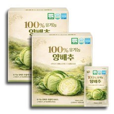 100% 유기농 무첨가 국산 베타카로틴 양배추 엑기스 즙 식약처 HACCP 인증, 2박스, 2.1L