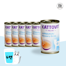 카토빗 드링크 고양이 물 음수량 음료수 간식, 135g, 6개, 리커버리 (Recovery Drink)