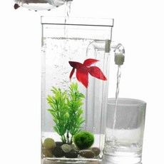 어항 청소 자동 금붕어, 자동청소어항